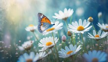 Butterfly In Sea Of Flowers, Spring Wallpaper Or Background - Space For Copy