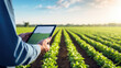 Farmer holding a tablet with a blank screen in front of a field of green crops