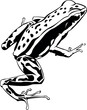 Cartoon Black and White Isolated Illustration Vector Of A Frog