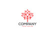 Creative logo design depicting a maple leaf made from circuitry wires, designated to the technology industry.