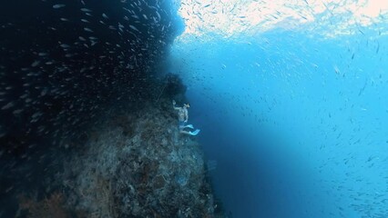 Wall Mural - Freediver swimming underwater along the coral reef with lots of tiny fish