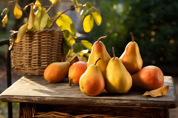 Canvas Print - Several pears on table in garden