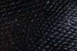 snakeskin texture snake black colours abstract animal background closeup dark design fashion leather macro material natural nobody pattern skin textile textured imprinted drawing