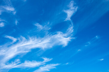 Wall Mural - blue sky background with white clouds