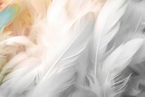 Fototapeta  - design art color soft style blur texture feather chickens Bird background Abstract colours pattern closeup beautiful light fashion animal wallpaper nature fluffy delicate decoration love concept