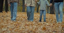 Parents And Sons Holding Hands And Walking Together In Park In Autumn, Legs View, 4K, Prores