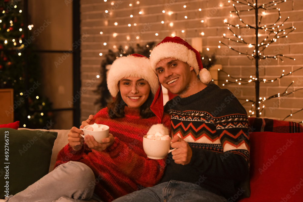 Young couple drinking hot cocoa with marshmallows on sofa at Christmas night