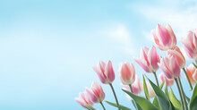 Spring Bouquet Of Pink Tulips On An Isolated Blue Background With Copyspace, Pastel Colors.