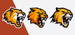 Set of Saber-Toothed Tiger, Smilodon Logo Designs for Esports and Sports: Vector Cartoon Illustrations on Stickers and T-shirts