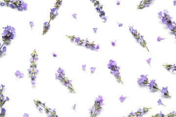 Wall Mural - Beautiful aromatic lavender flowers on white background, flat lay