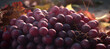 pile of fresh grapes, fruit 3