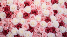 Natural Fresh Red Pink And White Roses Flowers Pattern Wallpaper. Top View, Red Rose Flower Wall Background.