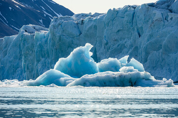 recently calved from the monacobreen glacier in liefde fjord, iceberg floating in the arctic ocean a