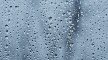 Wall Mural - Water drops. Rain on the clear glass window. 