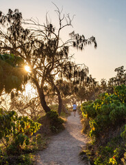 Wall Mural - The view of a person running on the path of Noosa Coastal Walk under the sunshine in the morning