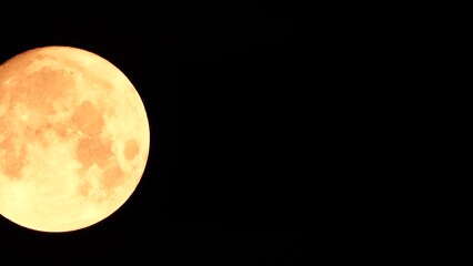 Wall Mural - A glowing golden huge full moon seen from earth through the atmosphere against a starry night sky. A large full moon moves across the sky, the moon moving from the left frame to the right.