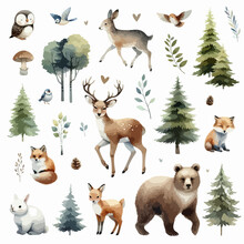 Set Of Wild Watercolor Forest Animals. Sticker With Woodland Wild Animals, Green Trees, Berries And Plants. Bear, Fox, Bear, Deer, Squirrel, Owl, Hare, Hedgehog.