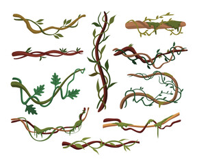 Tropical hanging vines, Liana or vine climbing winding branches cartoon vector illustration, wild rainforest vines branches with leaves