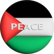 3D Flag of Palestine on an avatar circle, the concept of peace in Palestine. Stop world war.