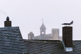 Fototapeta  - Altstadt Marburg Dächer bei Nebel Dunst Dezember 
