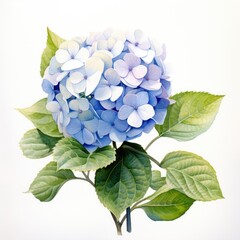 Wall Mural - Watercolor dusty blue hydrangea bouquet. Watercolor boho floral template with blue flowers.