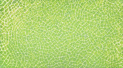 Green Fiber Mesh Texture Background