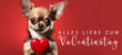Alles Liebe zum Valentinstag, Grußkarte mit deutschem Text - Niedlicher stehender Chihuahua Hund hält rotes Herz , isoliert auf rotem Hintergrund