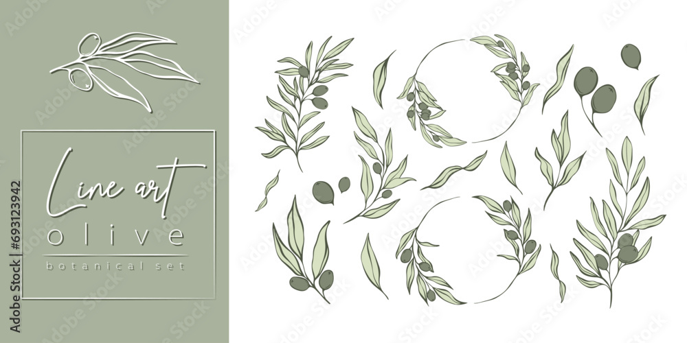 Set of Olive Branches and leaves in Line Minimal Style. Vector ...