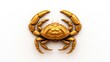  a golden crab on a white background with a light reflection on the back of the crab's shell and the top part of the crab's shell is shaped like a flame.
