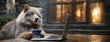 E-Commerce Goes Wild: Dog with Credit Card Shopping Online. Animal wearing a bowtie, holding a credit card in paws, and using a laptop, humorously personifying online shopping in a cozy home setting.