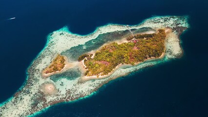 Wall Mural - Seascape of Raja Ampat, Indonesia. Aerial view of the area of Misool island with islands and blue calm lagoons