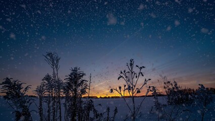 Wall Mural - Winter sunrise in a field, sunrise time lapse, beautiful winter landscape with snowfall