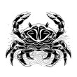 Crab Vector