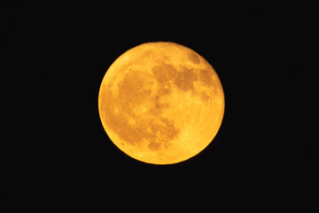 Wall Mural - super strawberry moon, reddish full moon on a summer night.