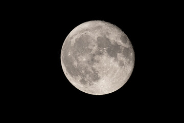 Wall Mural - full moon photographed with a telescope and reflex camera where the craters on the lunar surface can