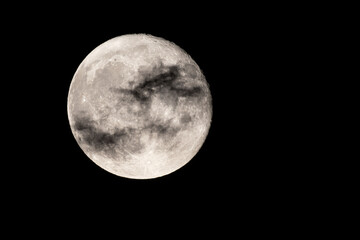 Wall Mural - moon of the month of august, the moon looks orange and you can see the craters. photography taken wi