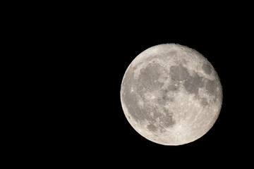 Wall Mural - full moon photographed with a telescope and reflex camera where the craters on the lunar surface can