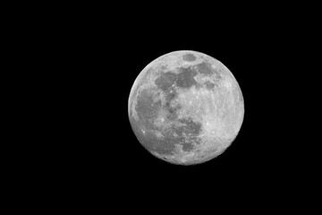 Wall Mural - full moon on a summer night made with a telescope