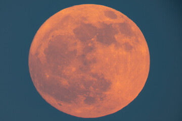 Wall Mural - super strawberry moon rising over the sea, a reddish full moon rising over the sea on a summer night