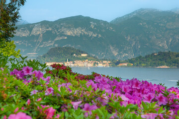 Wall Mural - View across Lake Como