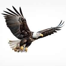 A Bald Eagle Flying In The Sky