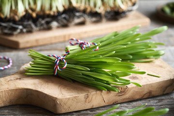 Wall Mural - Homegrown green barley grass blades on a table