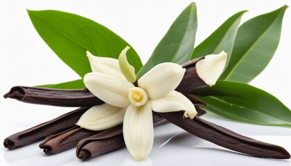 Canvas Print - A white flower with green leaves and cinnamon sticks