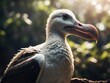 close up of a duck Seagull, albatross, Generative Ai, graypelican, shoebill