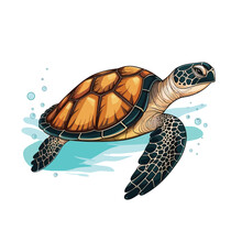 Vector Illustration Of A Green Sea Turtle Isolated On White Background. Cartoon Style.