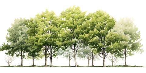 Poster - A picture of a group of trees standing in the grass. Suitable for nature-themed projects and outdoor-related designs
