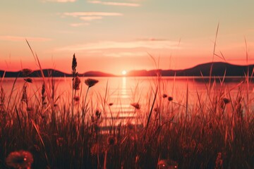 Aufkleber - A beautiful sunset over a serene body of water, with tall grass in the foreground. Perfect for nature lovers and those seeking a peaceful and calming atmosphere