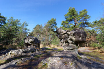 Poster - Denecourt hiking path 7 and Sphinx of the druids rock in the  Franchard gorges