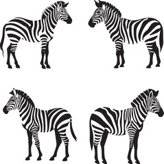 Wall Mural - Set of Zebra silhouette isolated on white background