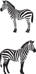 Sticker - Set of Zebra silhouette isolated on white background